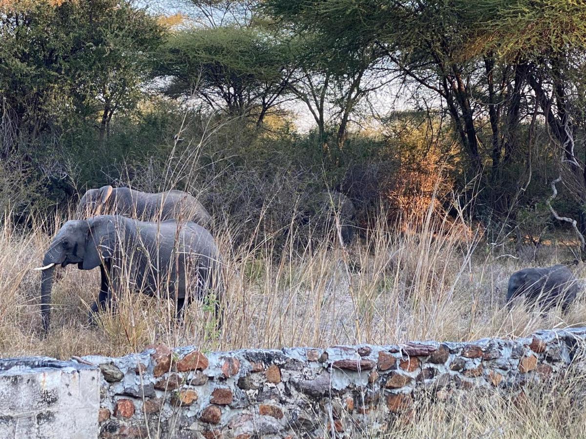 Big 5 Toro Lodge Kasane Exteriér fotografie